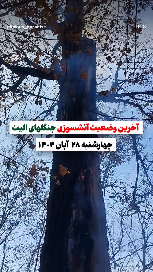  جدید ترین استوری اینستاگرام نیکی کریمی