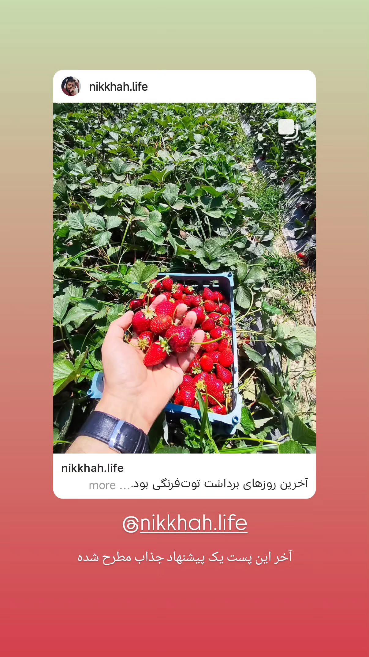  جدید ترین استوری اینستاگرام مهدی نیکخواه