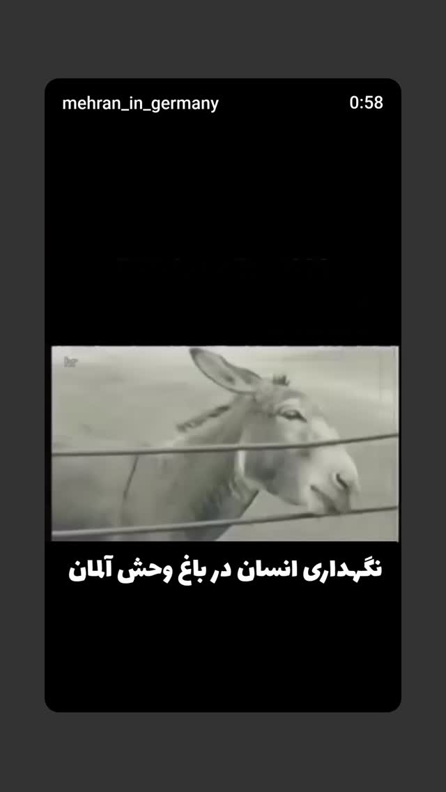  جدید ترین استوری اینستاگرام مهدی نیکخواه