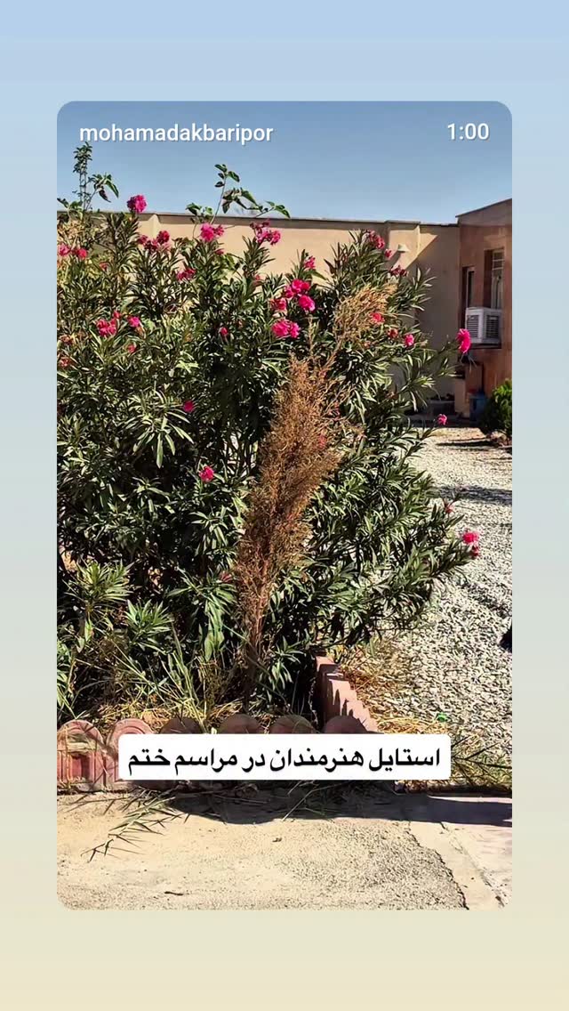  جدید ترین استوری اینستاگرام مهدی نیکخواه