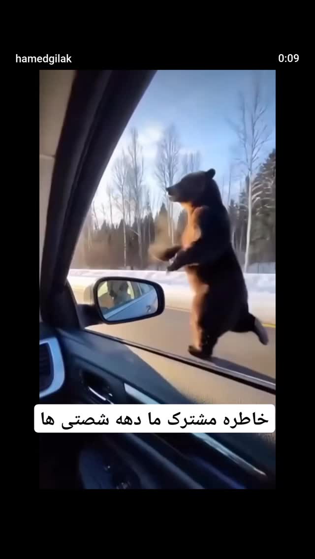  جدید ترین استوری اینستاگرام مهدی نیکخواه