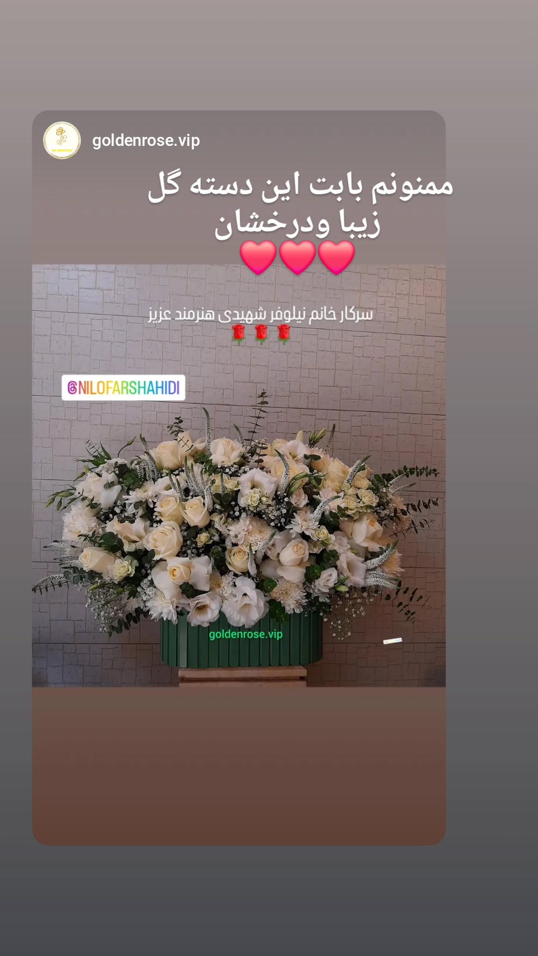  جدید ترین استوری اینستاگرام نیلوفر شهیدی