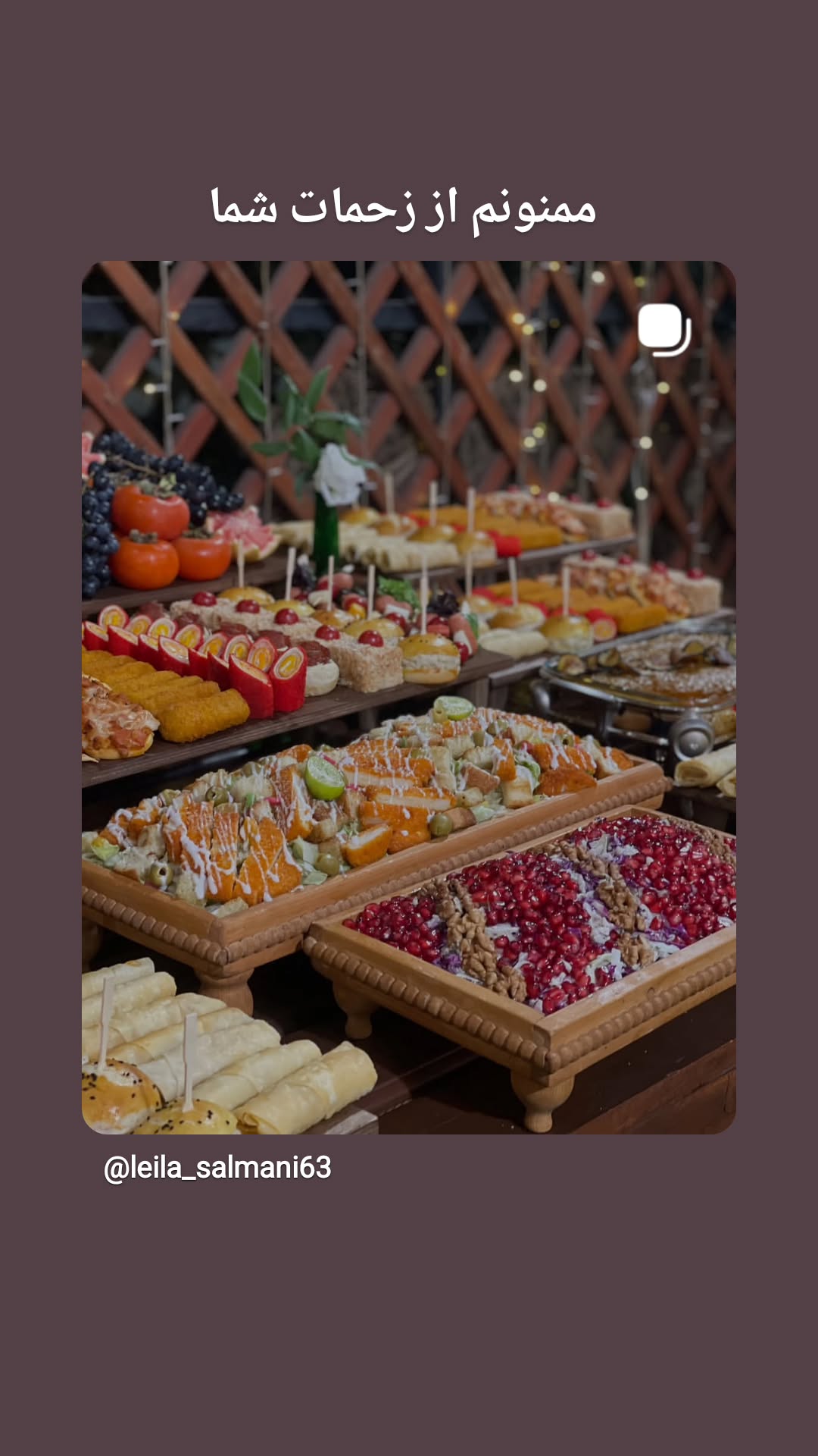  جدید ترین استوری اینستاگرام نیلوفر شهیدی