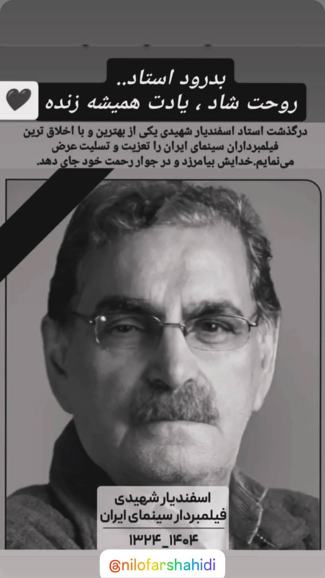  جدید ترین استوری اینستاگرام نیلوفر شهیدی