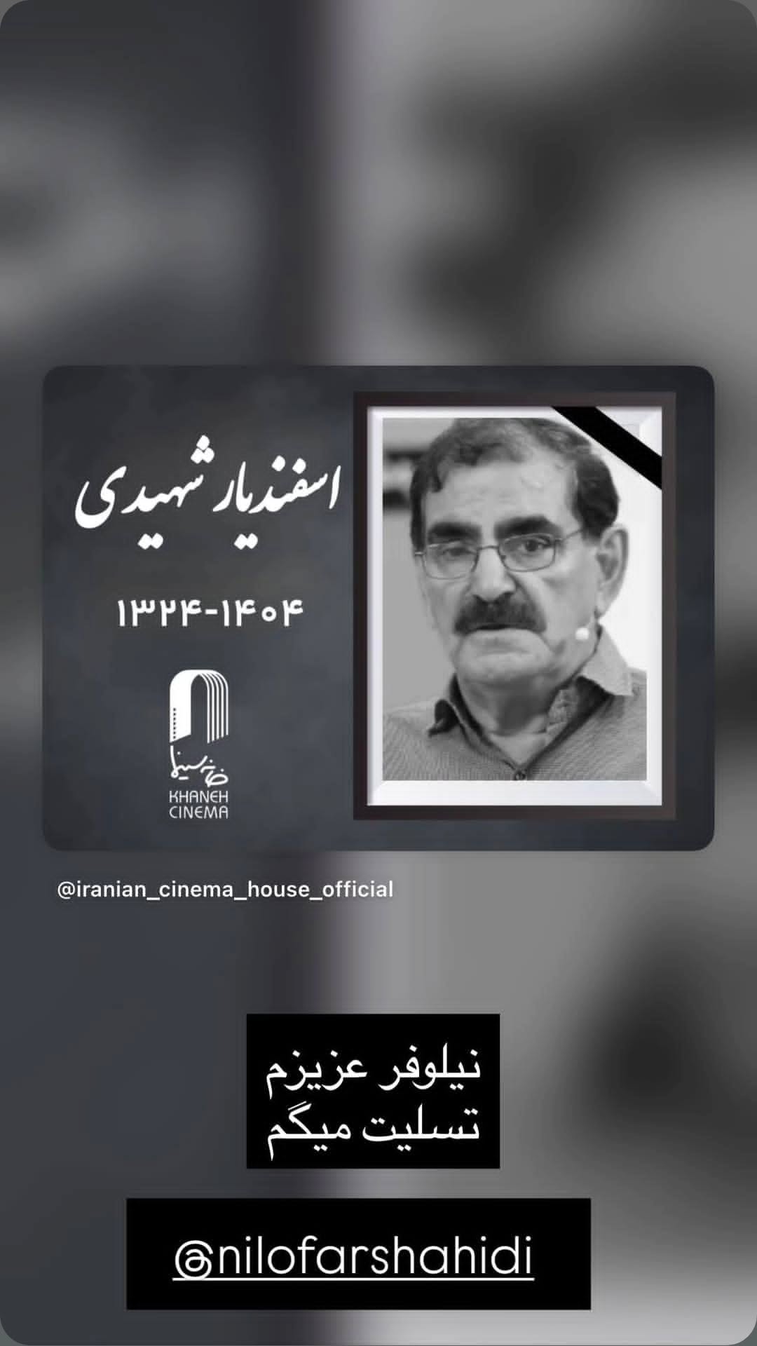  جدید ترین استوری اینستاگرام نیلوفر شهیدی