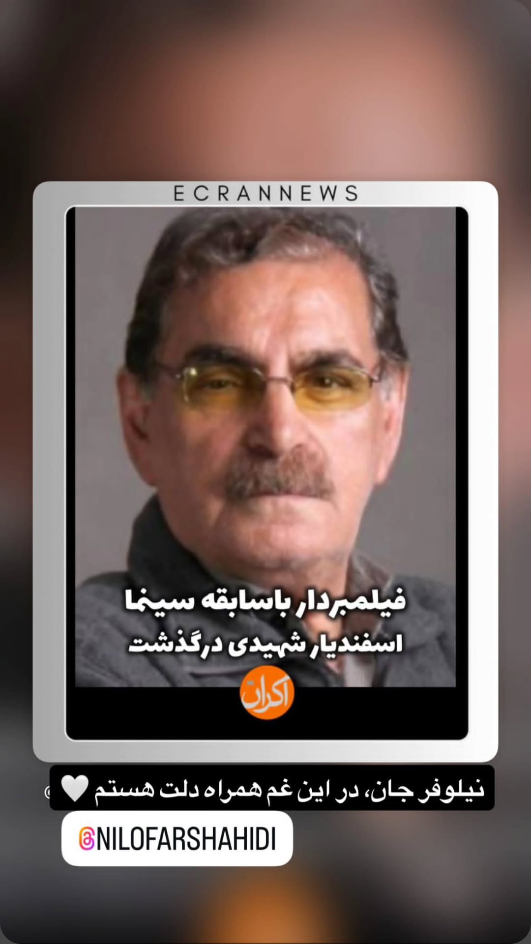  جدید ترین استوری اینستاگرام نیلوفر شهیدی