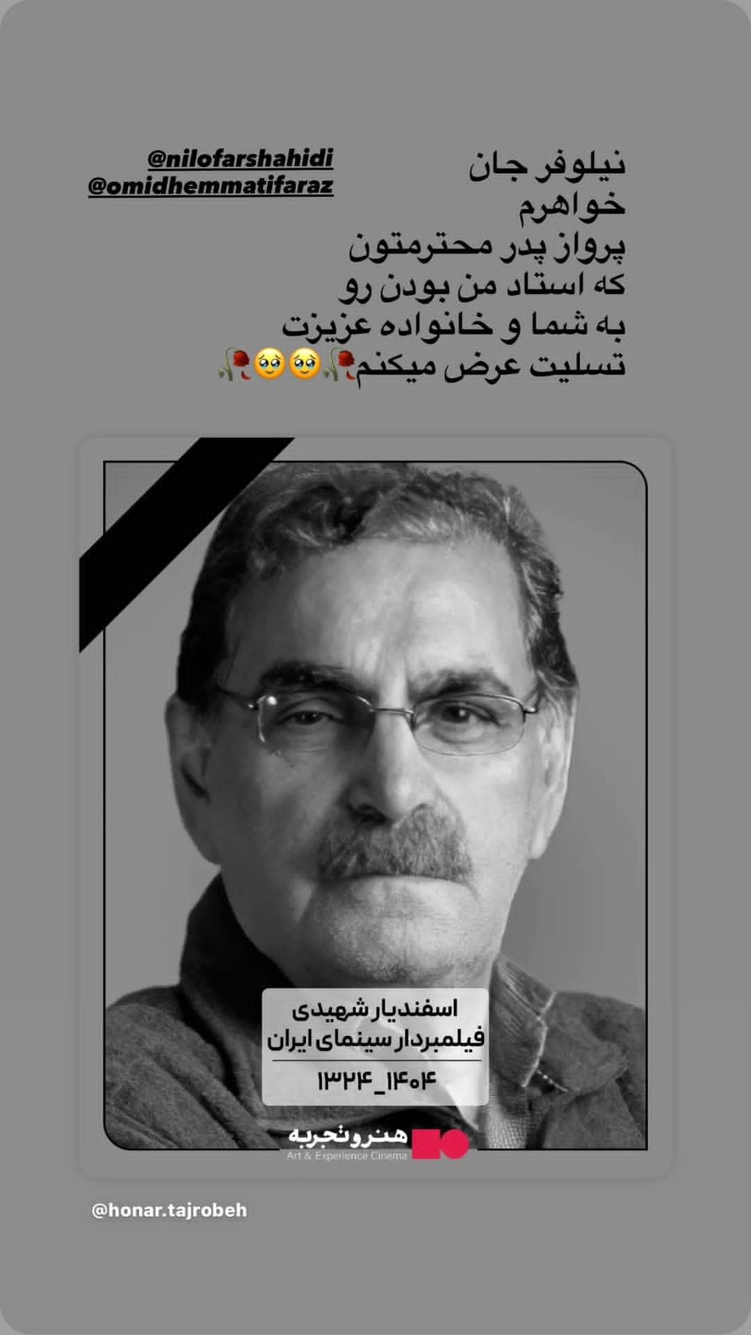  جدید ترین استوری اینستاگرام نیلوفر شهیدی