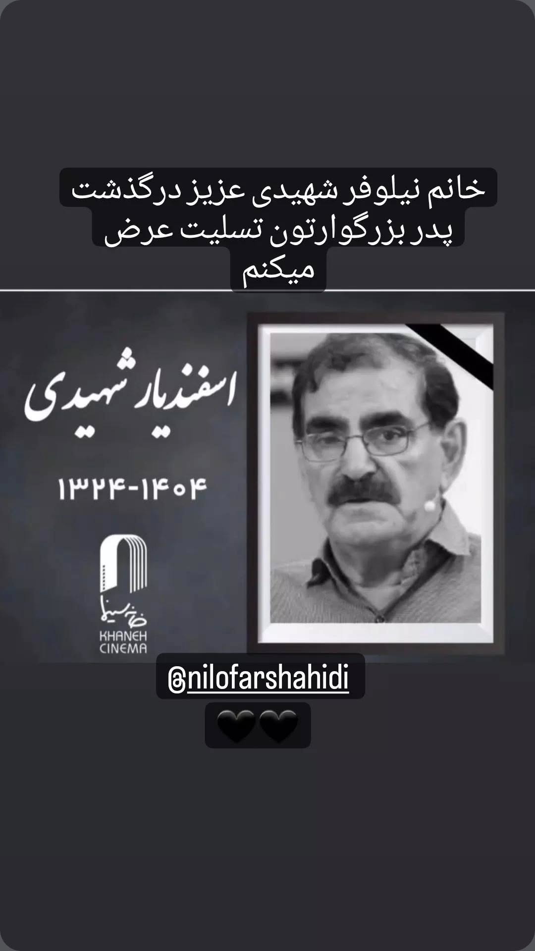  جدید ترین استوری اینستاگرام نیلوفر شهیدی