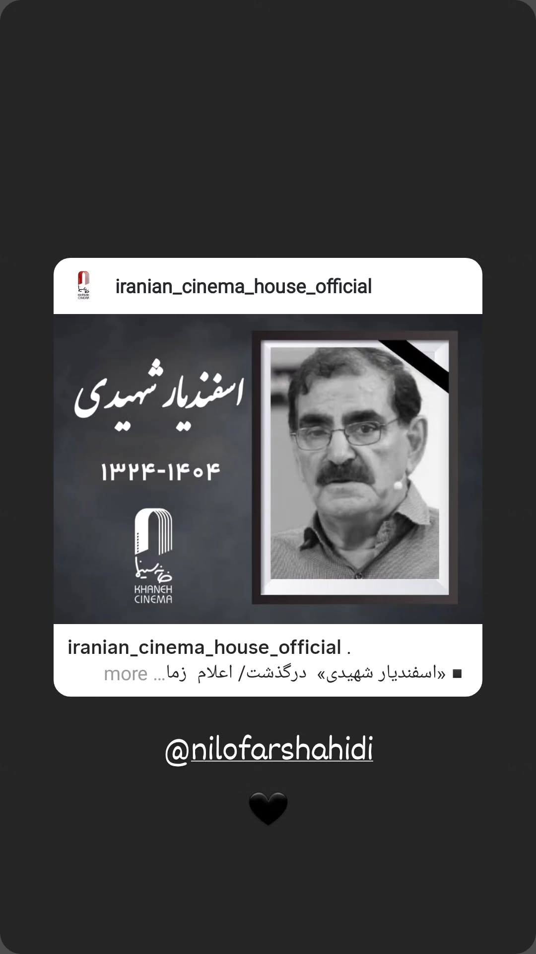  جدید ترین استوری اینستاگرام نیلوفر شهیدی