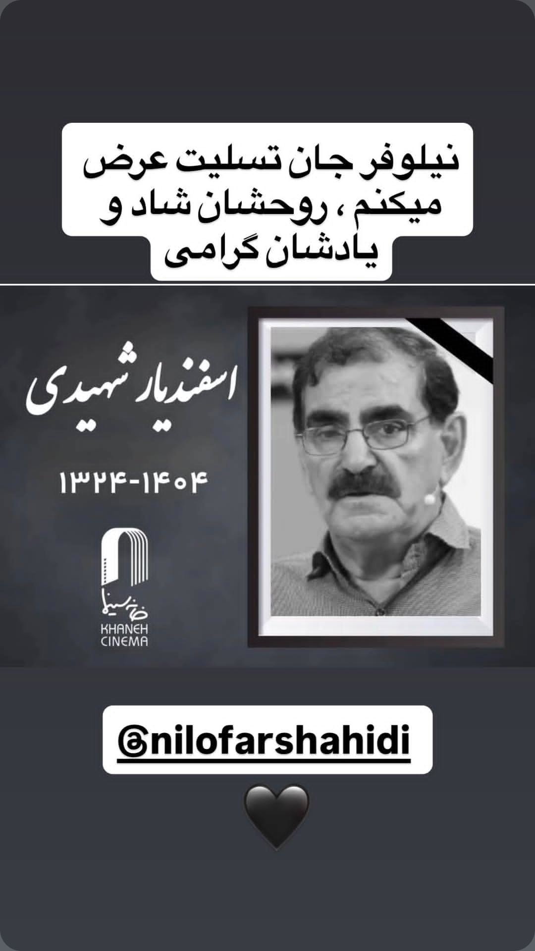  جدید ترین استوری اینستاگرام نیلوفر شهیدی