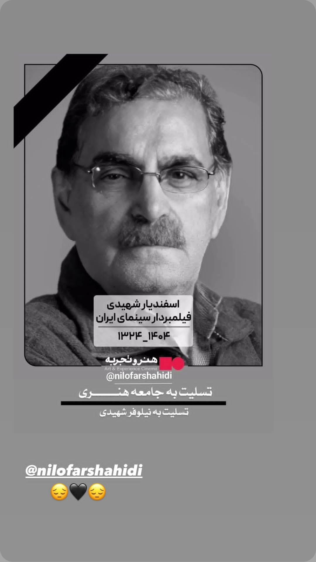 جدید ترین استوری اینستاگرام نیلوفر شهیدی