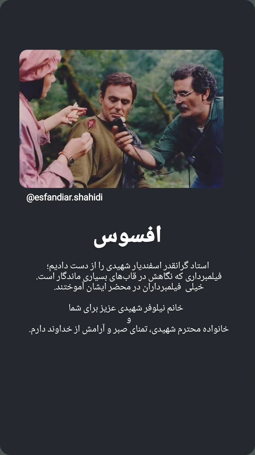  جدید ترین استوری اینستاگرام نیلوفر شهیدی