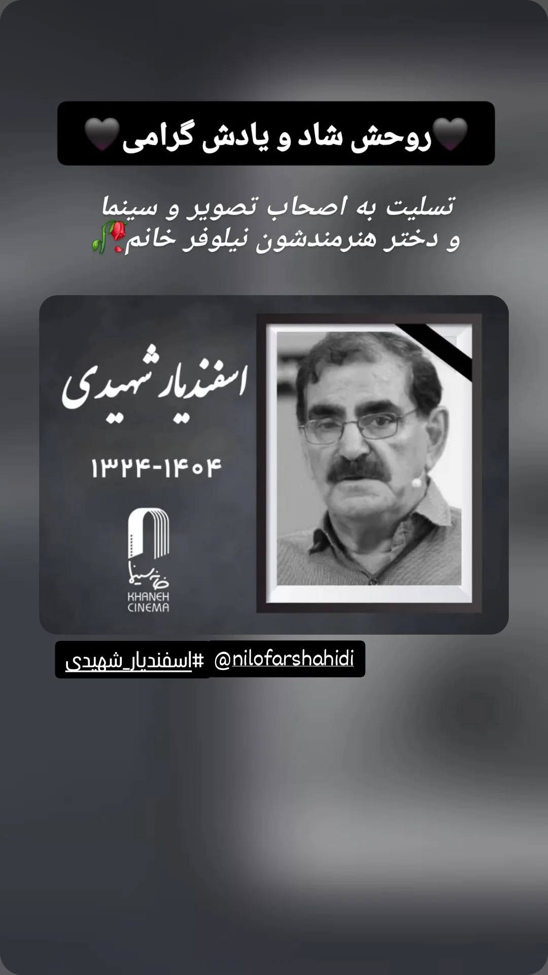  جدید ترین استوری اینستاگرام نیلوفر شهیدی