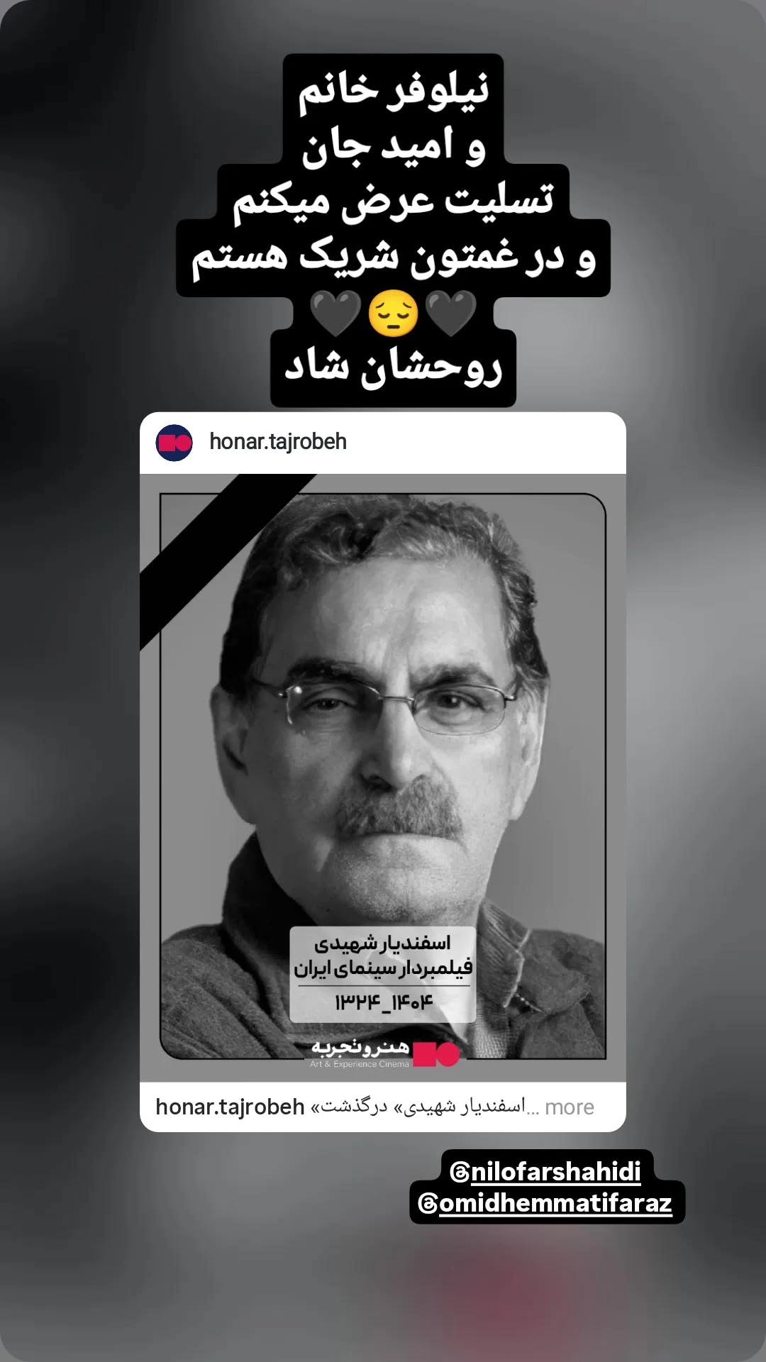  جدید ترین استوری اینستاگرام نیلوفر شهیدی