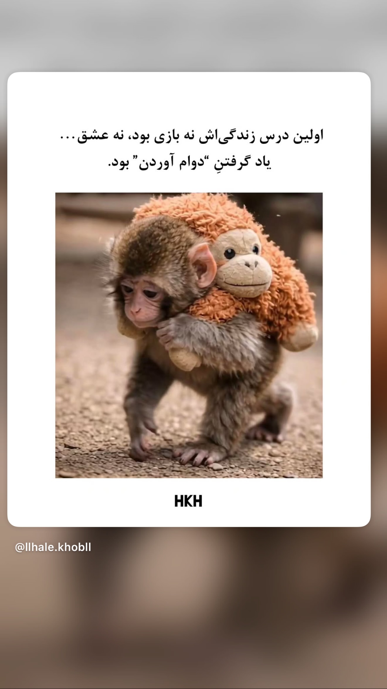  جدید ترین استوری اینستاگرام نیلوفر بهبودی
