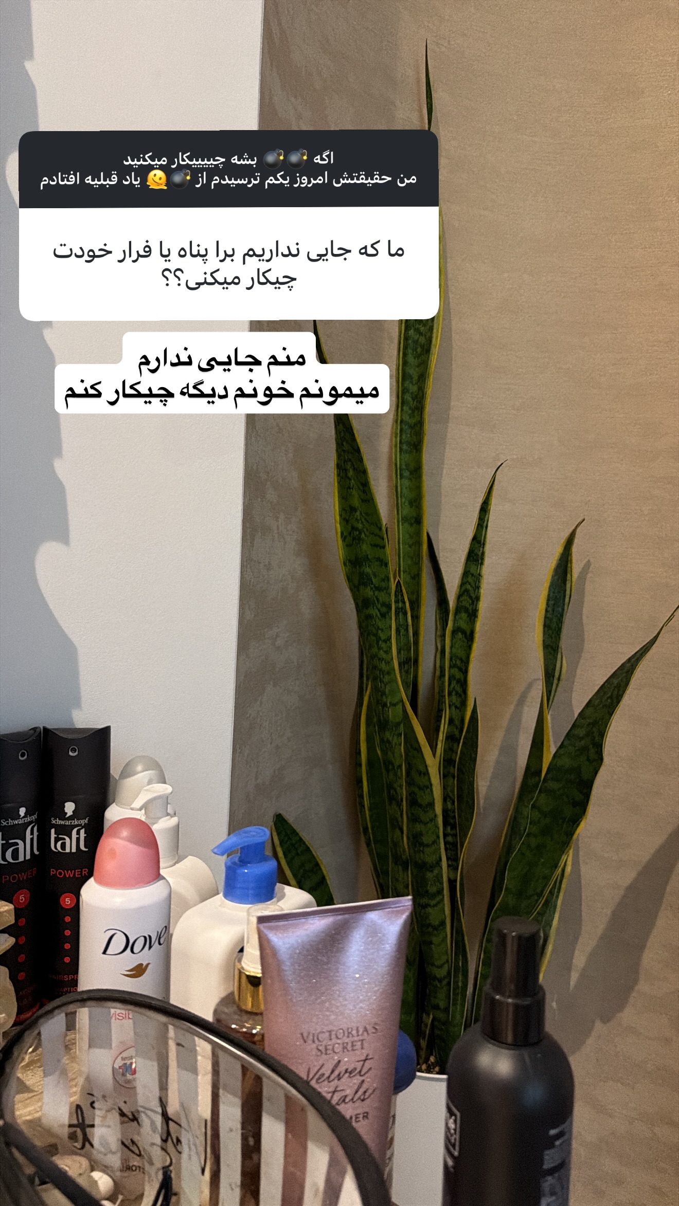  جدید ترین استوری اینستاگرام نیلوفر بهبودی