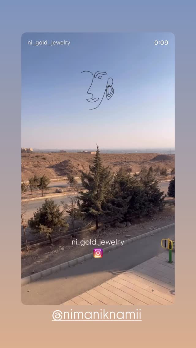  جدید ترین استوری اینستاگرام نیلوفر اردلان