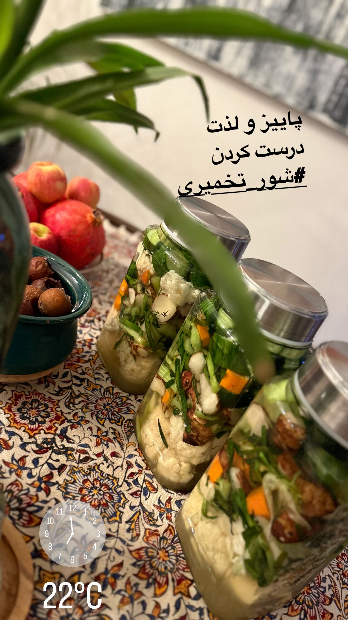  جدید ترین استوری اینستاگرام نيلوفر هوشمند