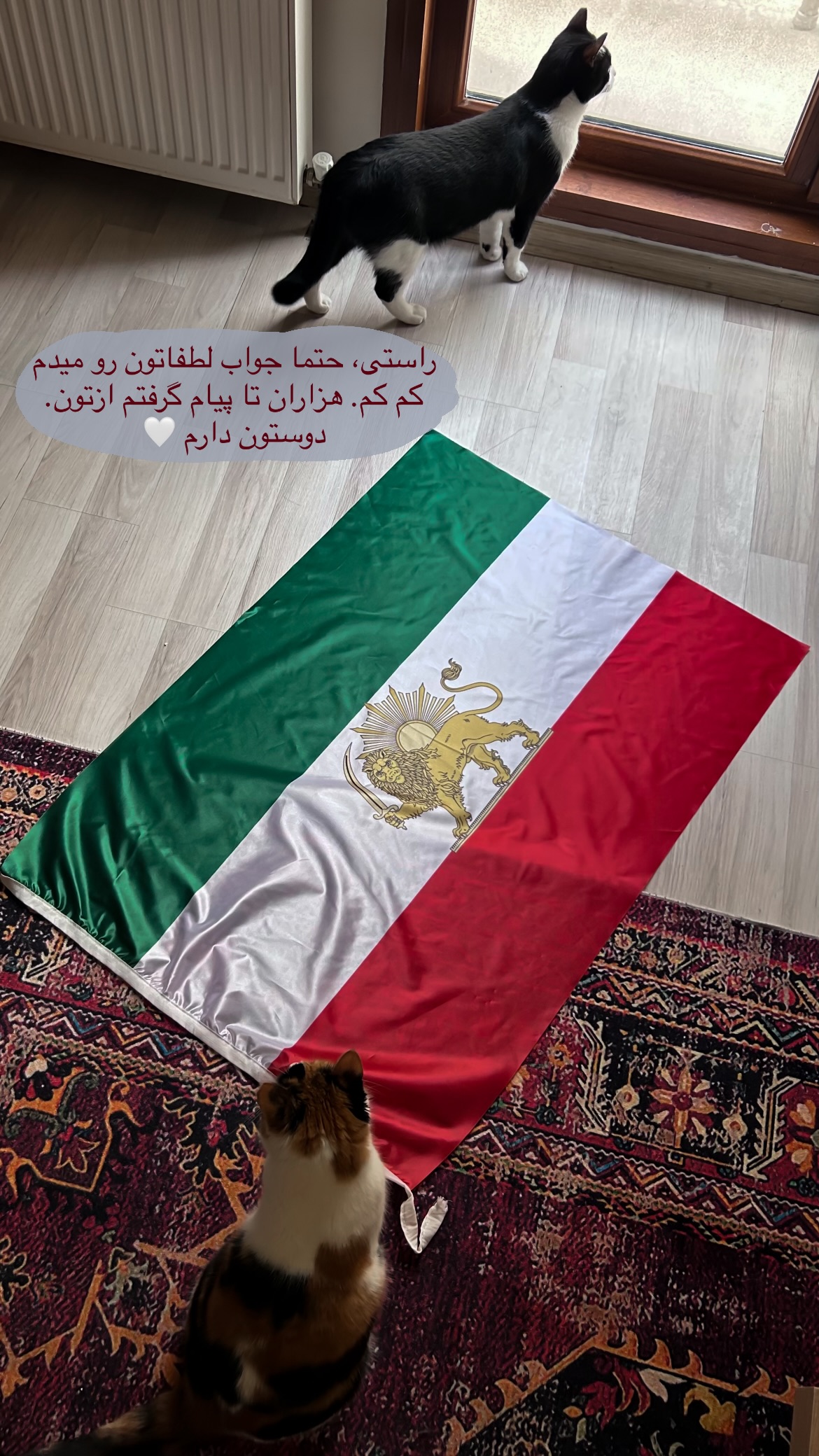 جدید ترین استوری اینستاگرام نیلوفر خوشیاری