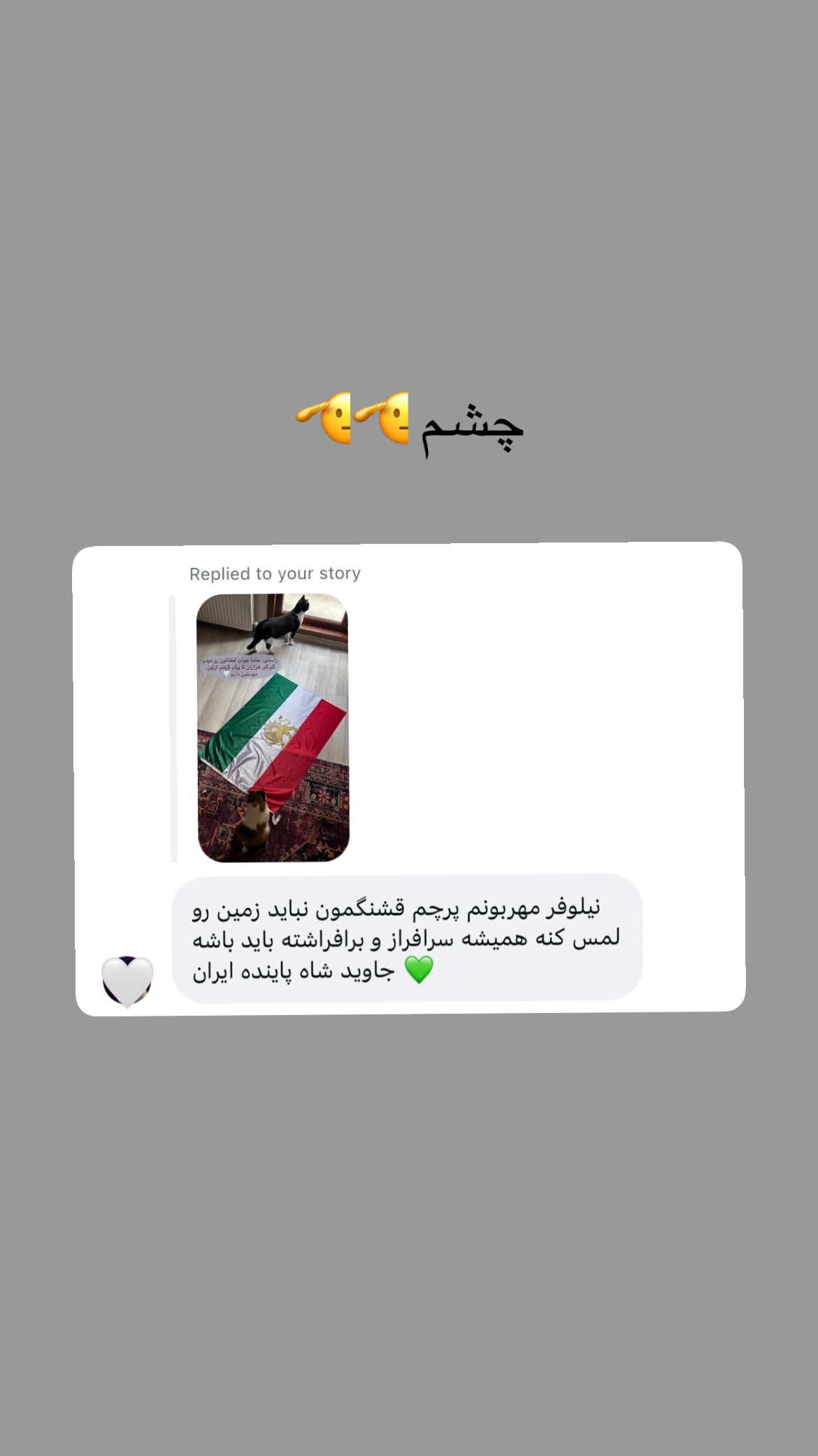  جدید ترین استوری اینستاگرام نیلوفر خوشیاری