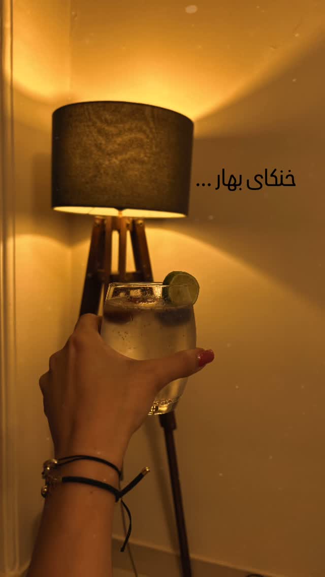  جدید ترین استوری اینستاگرام نیلوفر دهقان