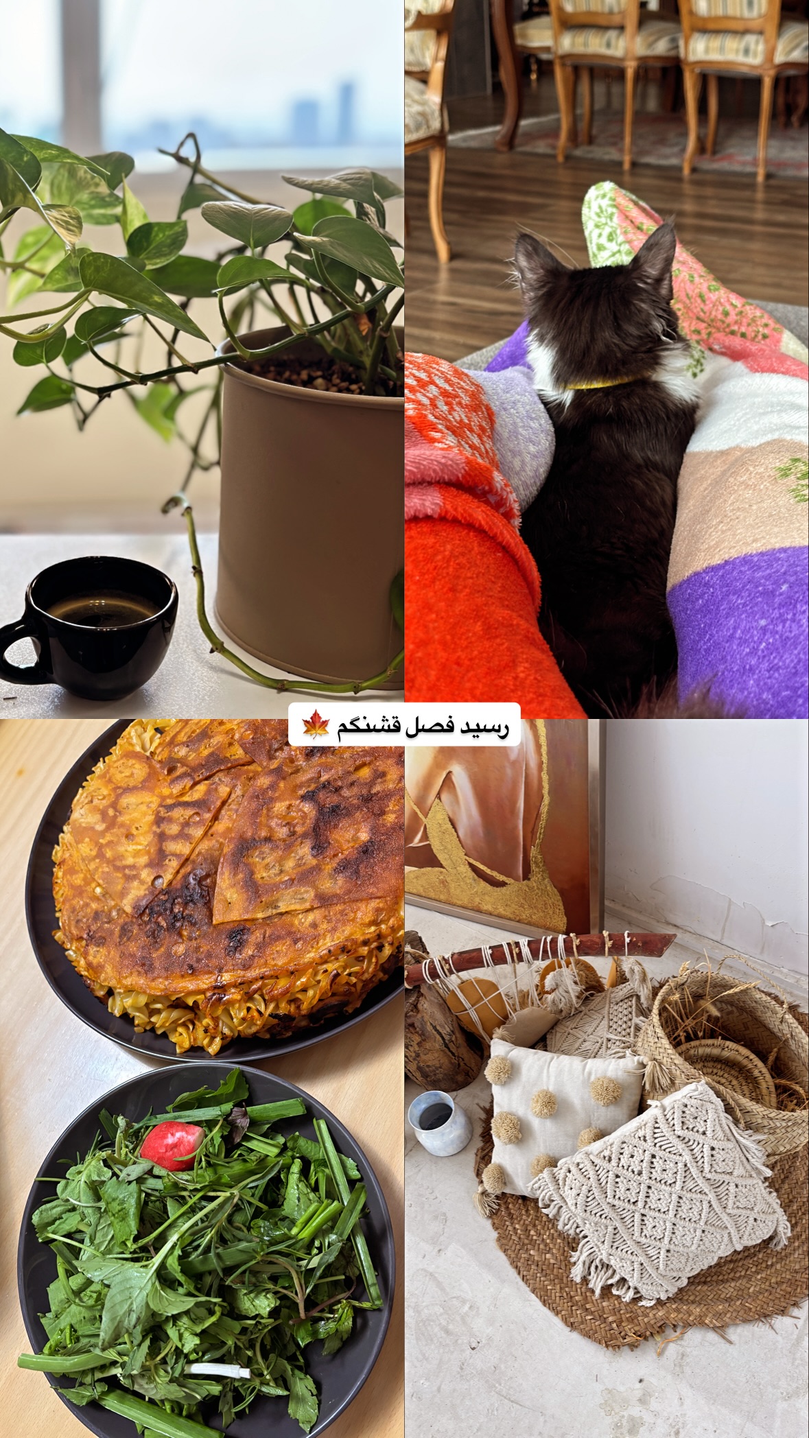  جدید ترین استوری اینستاگرام نیلوفر دهقان