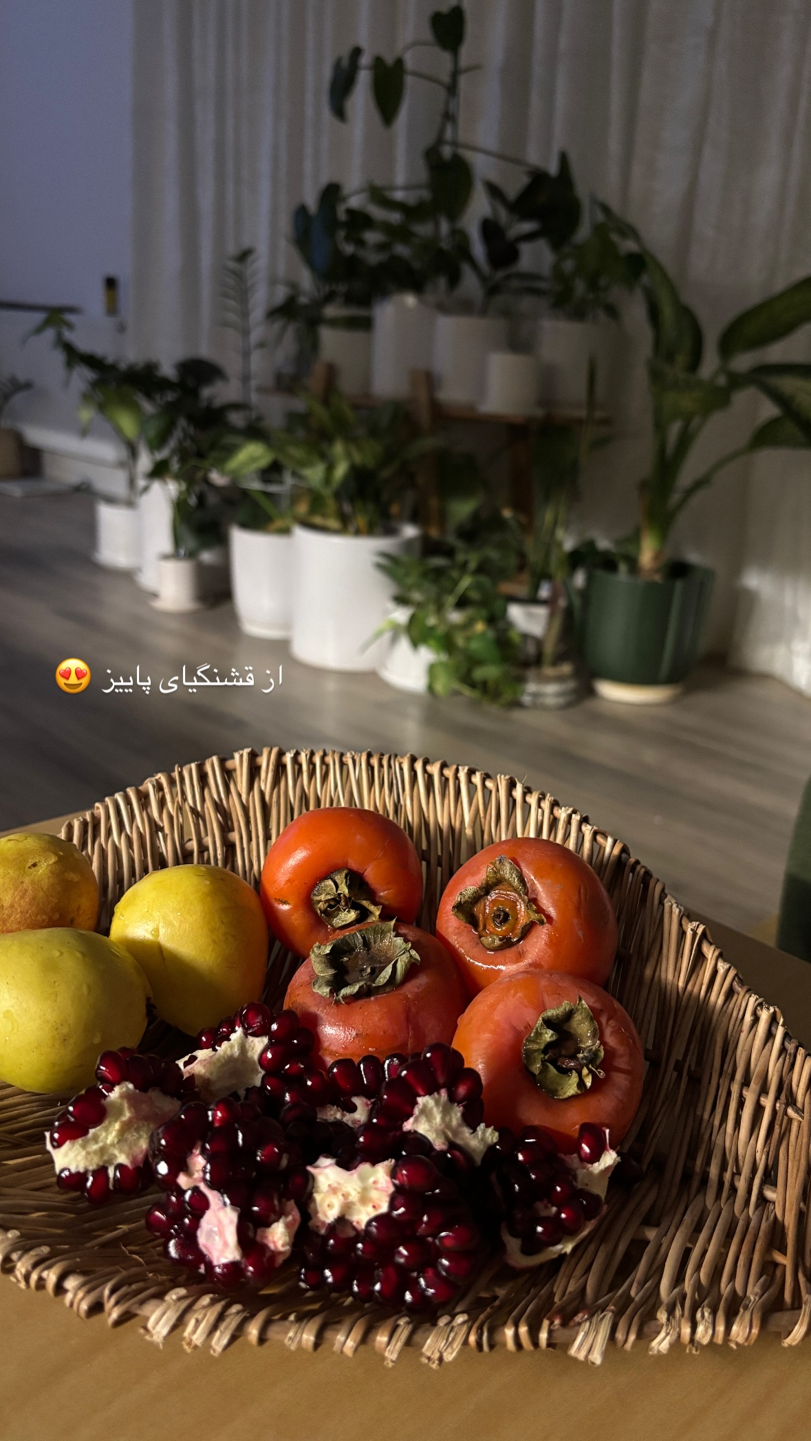 جدید ترین استوری اینستاگرام نیلوفر دهقان