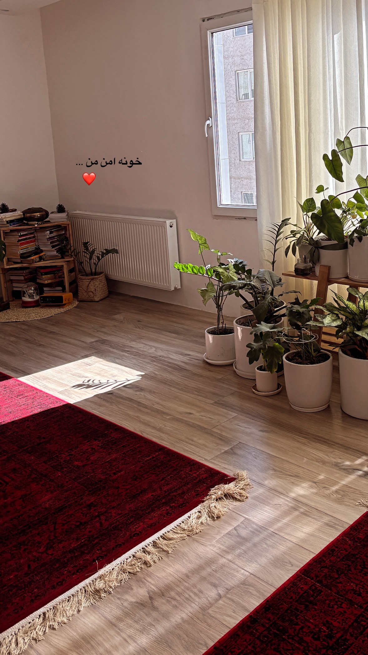  جدید ترین استوری اینستاگرام نیلوفر دهقان