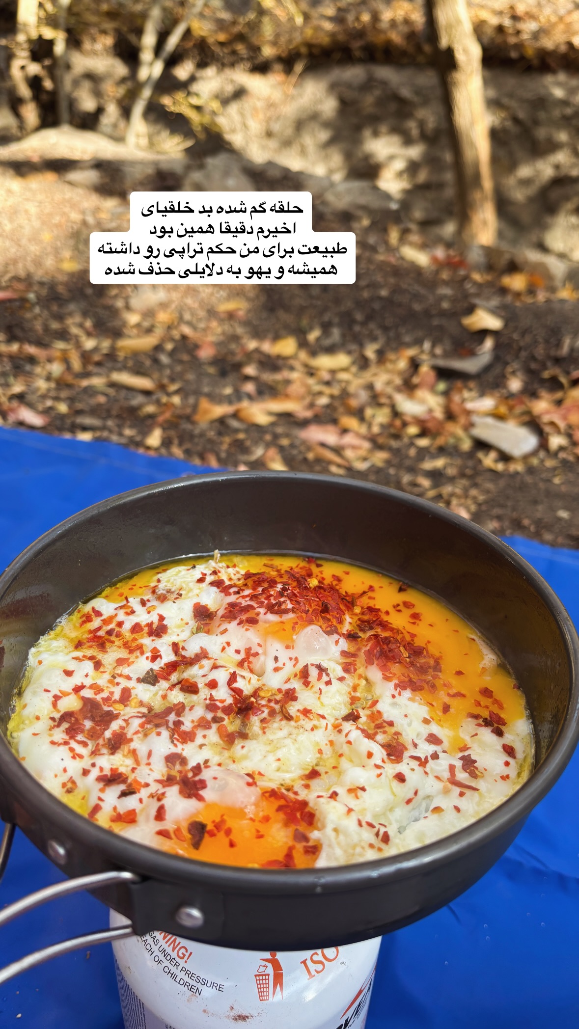  جدید ترین استوری اینستاگرام نیلوفر دهقان
