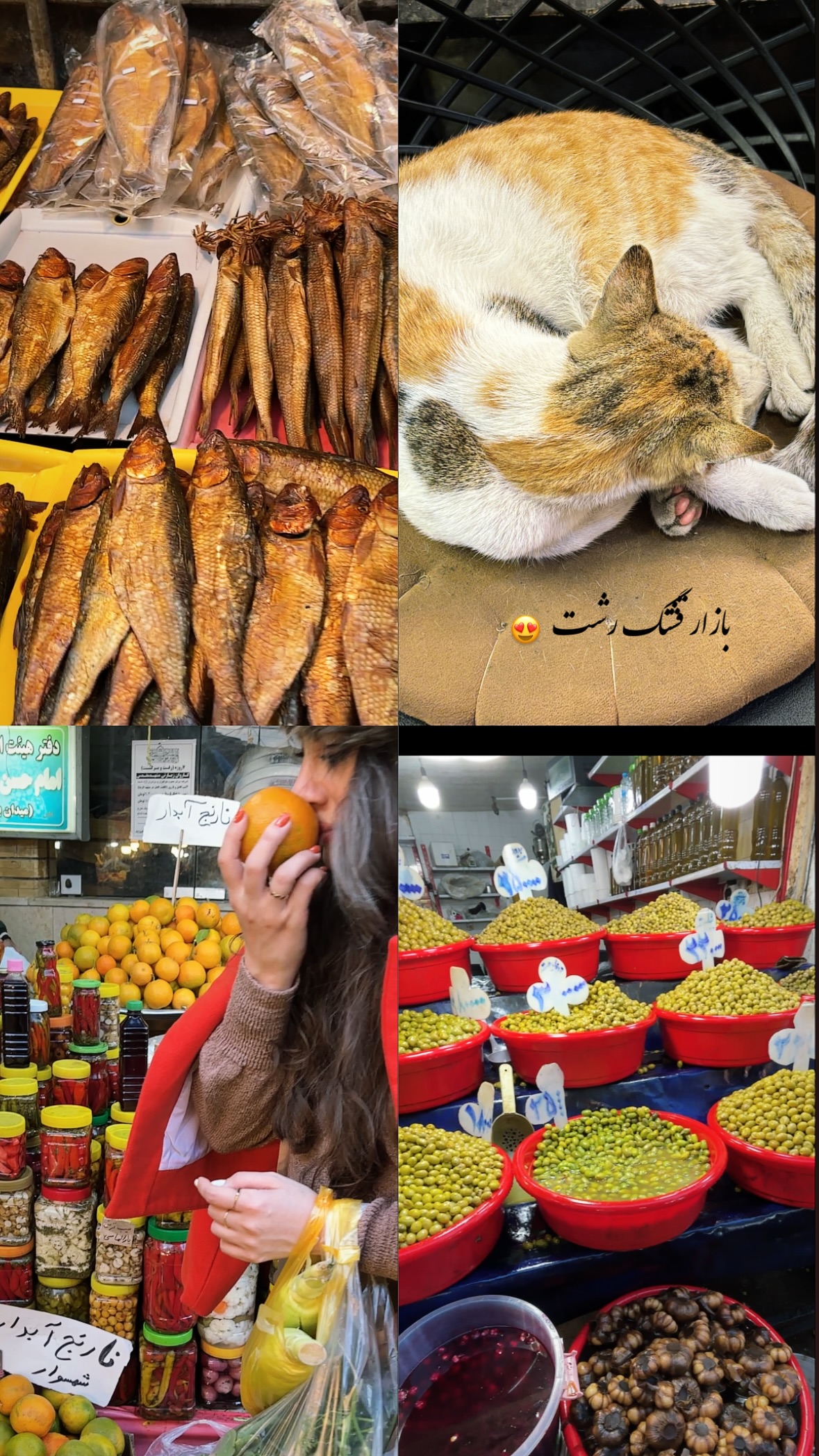  جدید ترین استوری اینستاگرام نیلوفر دهقان
