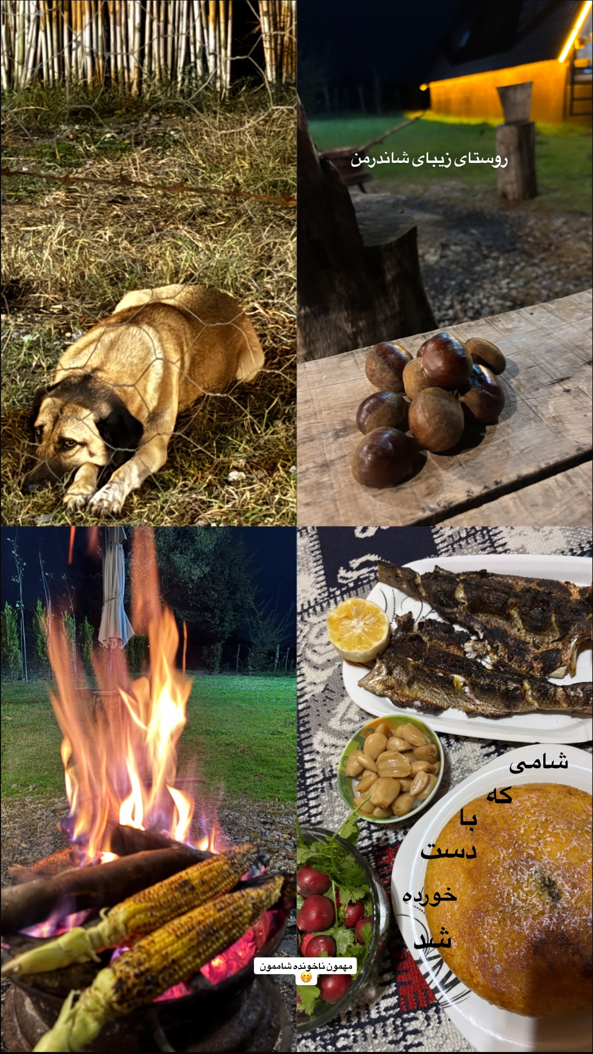  جدید ترین استوری اینستاگرام نیلوفر دهقان