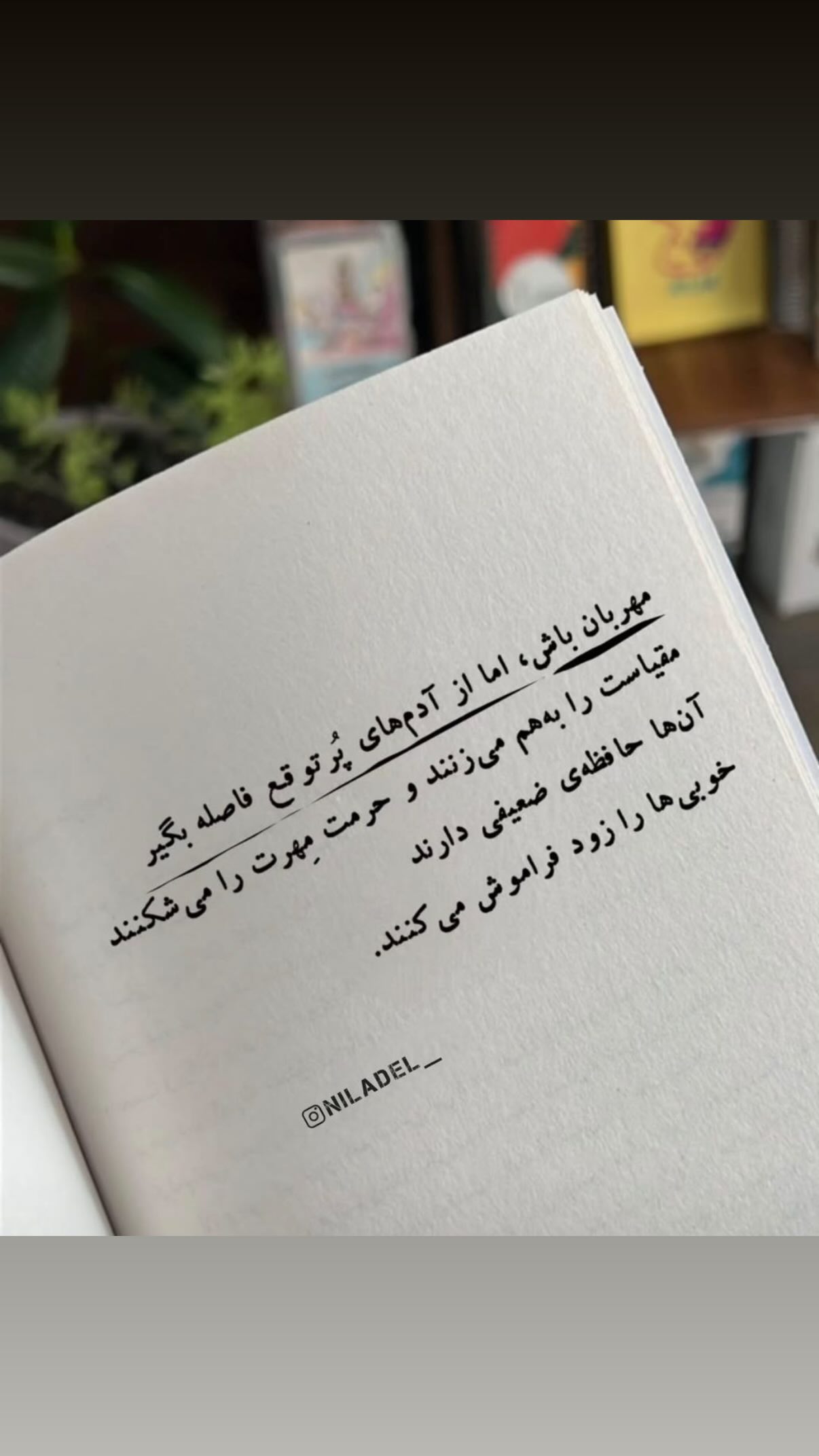  جدید ترین استوری اینستاگرام نیلوفر امینی فر