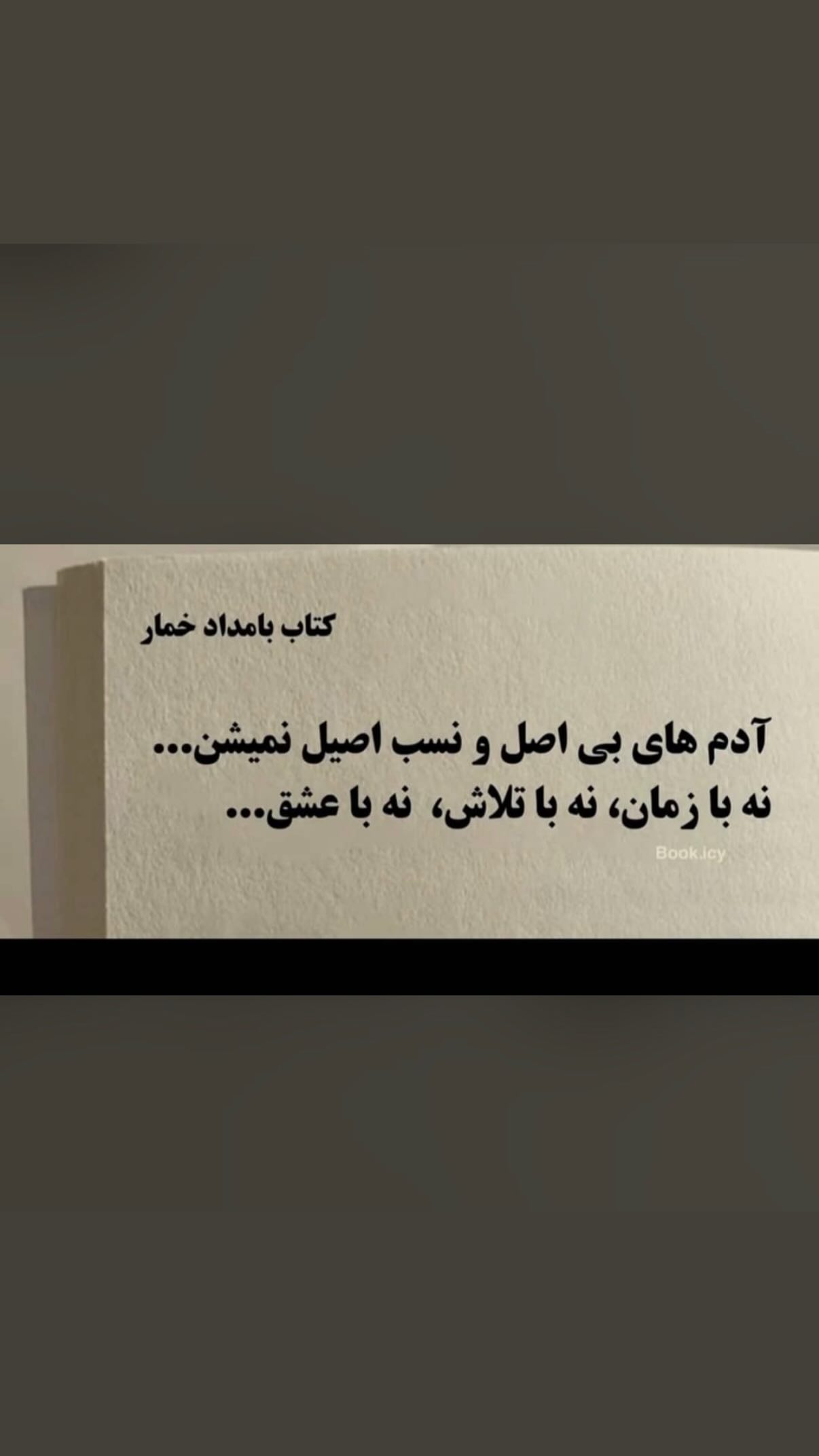  جدید ترین استوری اینستاگرام نیلوفر امینی فر