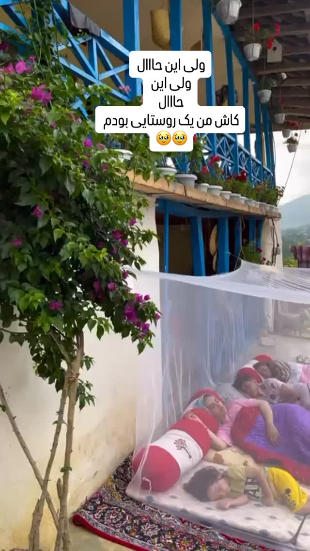  جدید ترین استوری اینستاگرام نیلوفر امینی فر