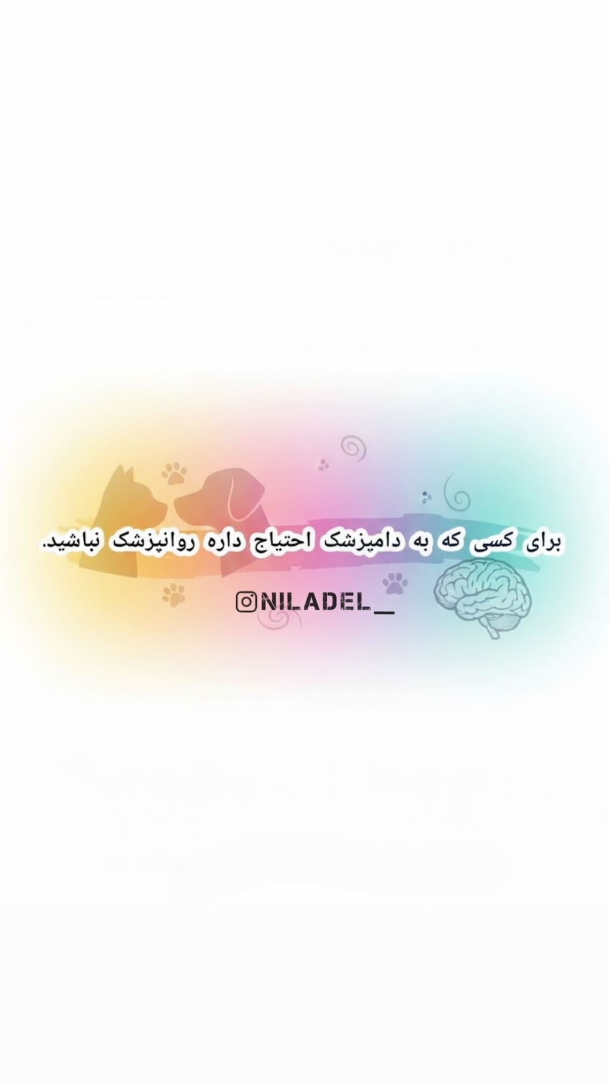  جدید ترین استوری اینستاگرام نیلوفر امینی فر