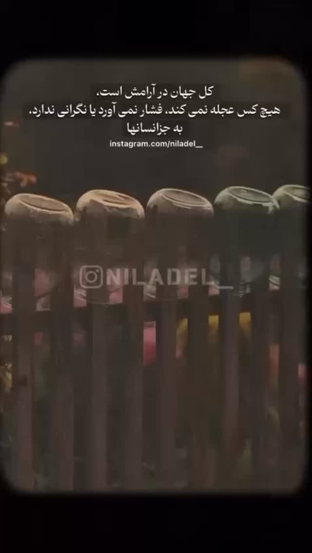  جدید ترین استوری اینستاگرام نیلوفر امینی فر