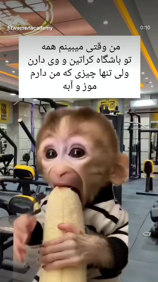  جدید ترین استوری اینستاگرام نیلپر میرزایی