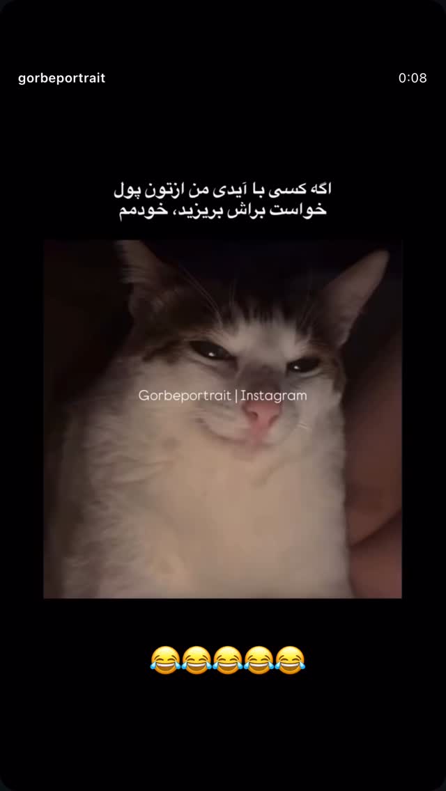  جدید ترین استوری اینستاگرام نیلپر میرزایی