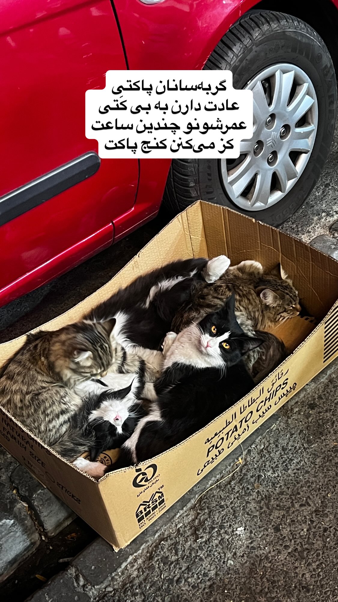  جدید ترین استوری اینستاگرام نیما نافع