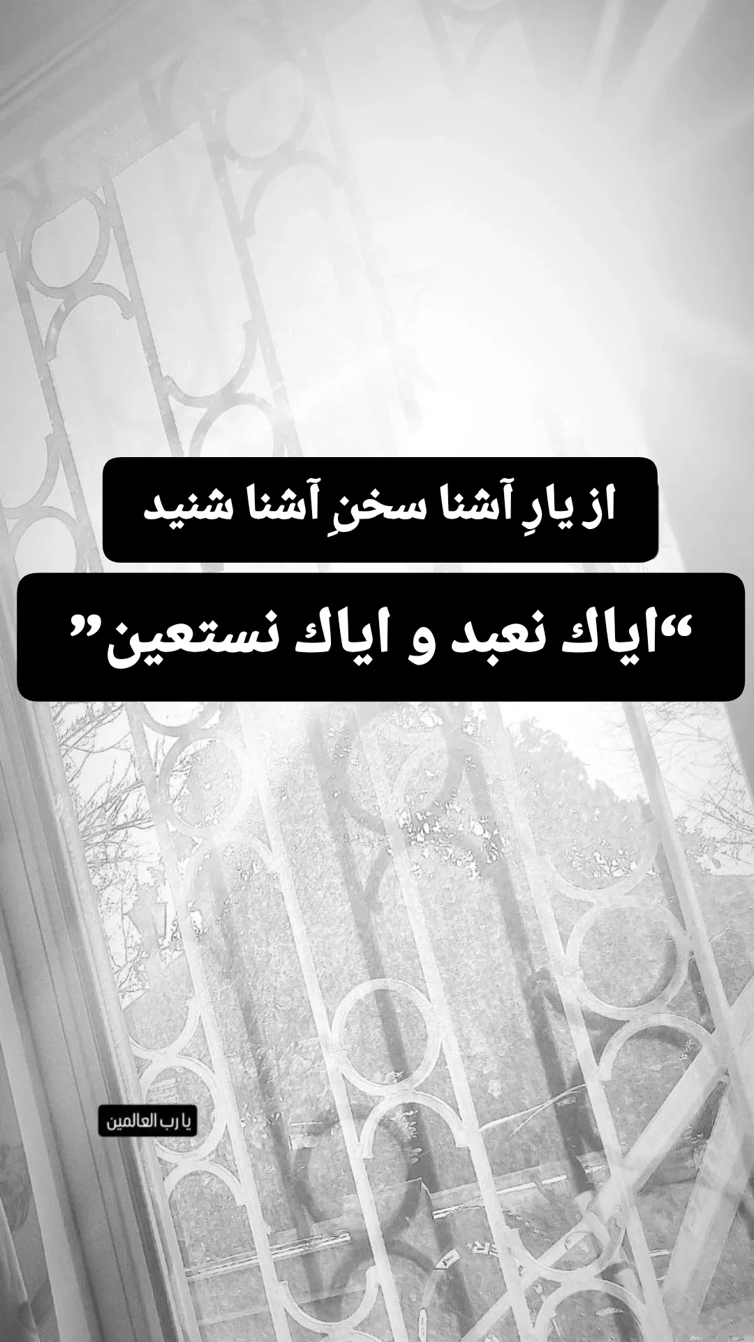  جدید ترین استوری اینستاگرام نیما کرمی