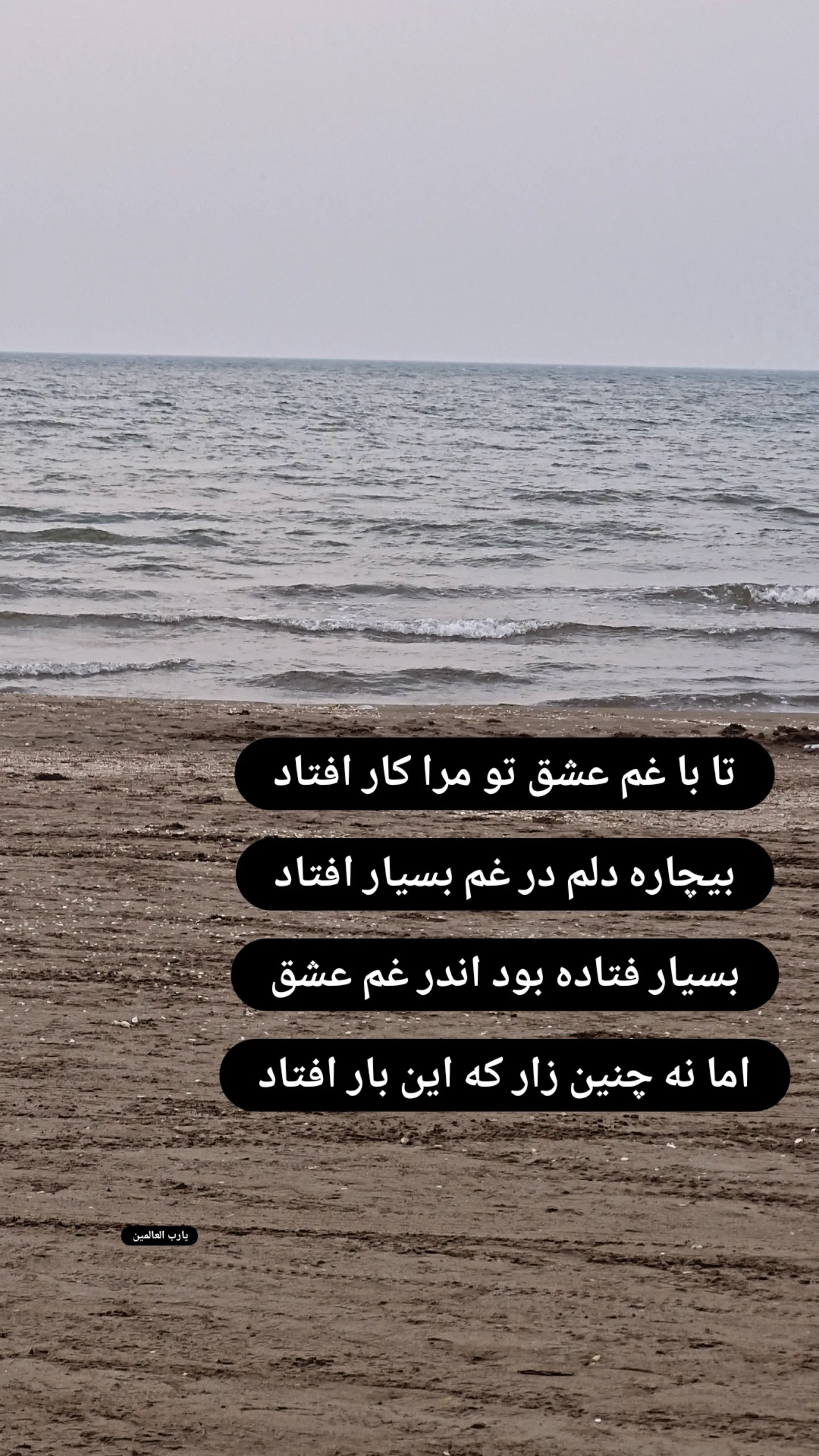  جدید ترین استوری اینستاگرام نیما کرمی