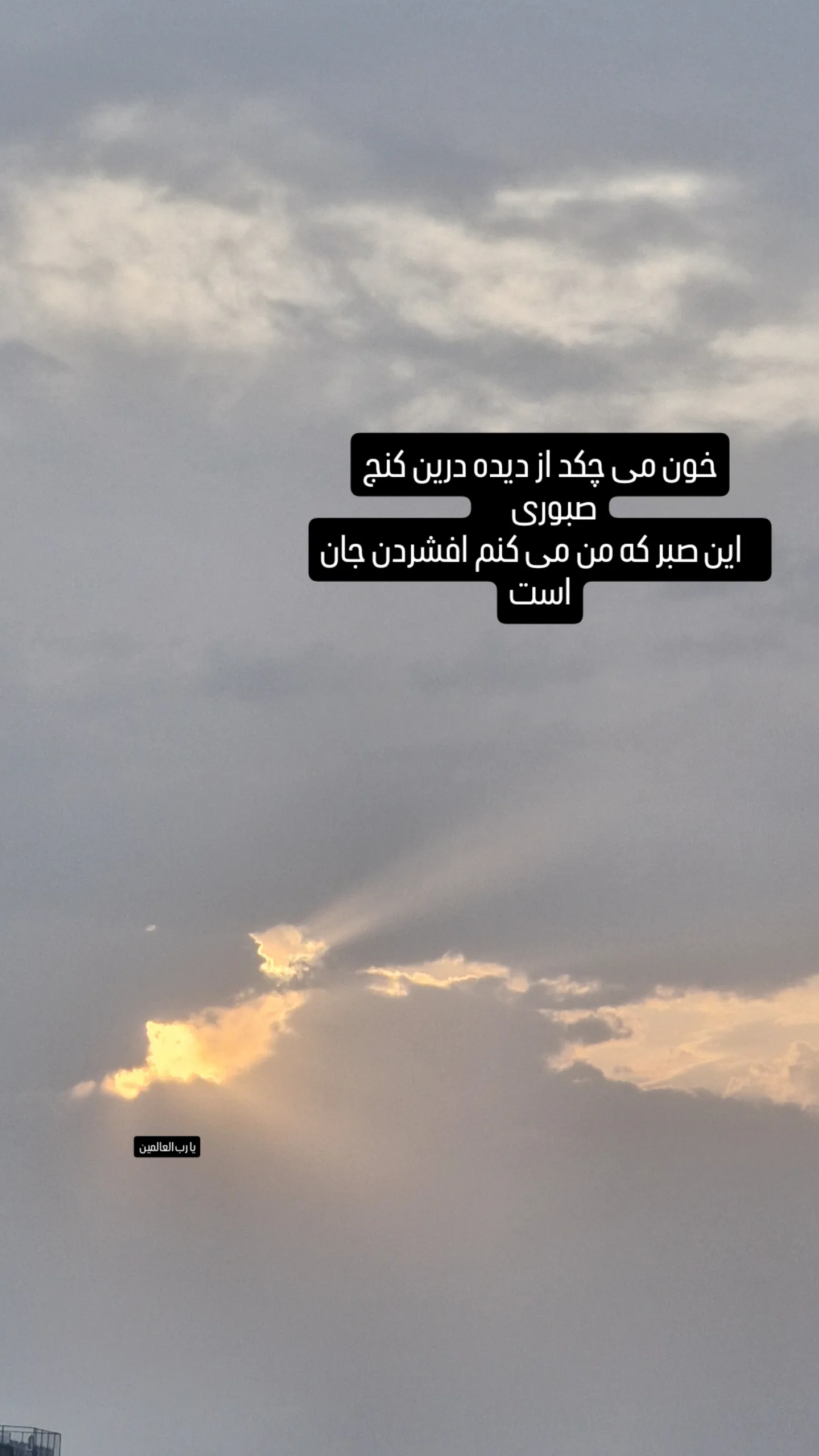  جدید ترین استوری اینستاگرام نیما کرمی
