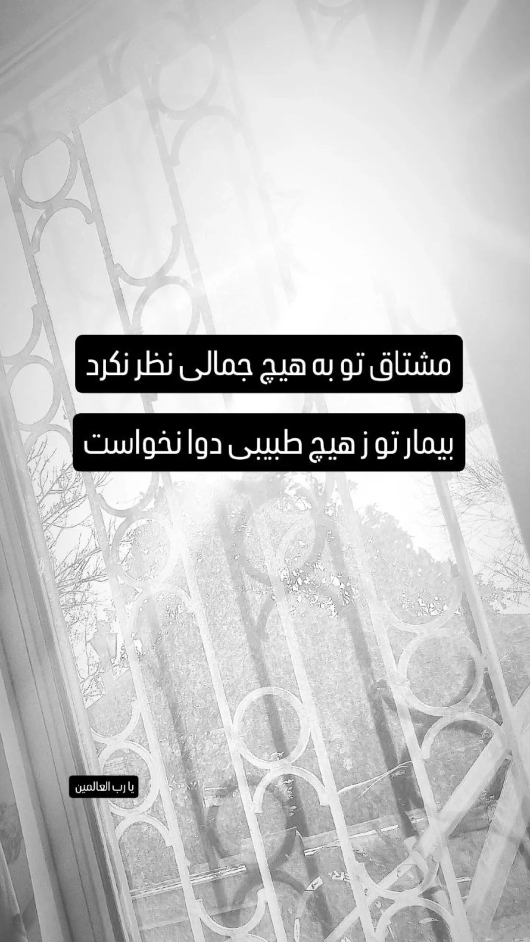  جدید ترین استوری اینستاگرام نیما کرمی