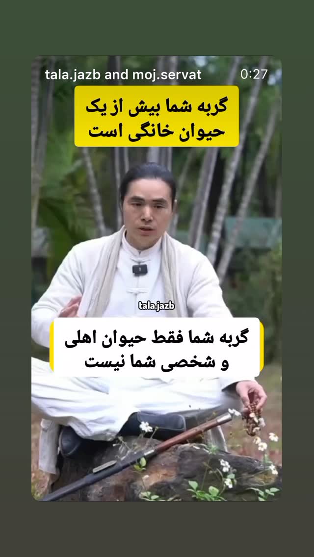  جدید ترین استوری اینستاگرام نیما شعبان نژاد