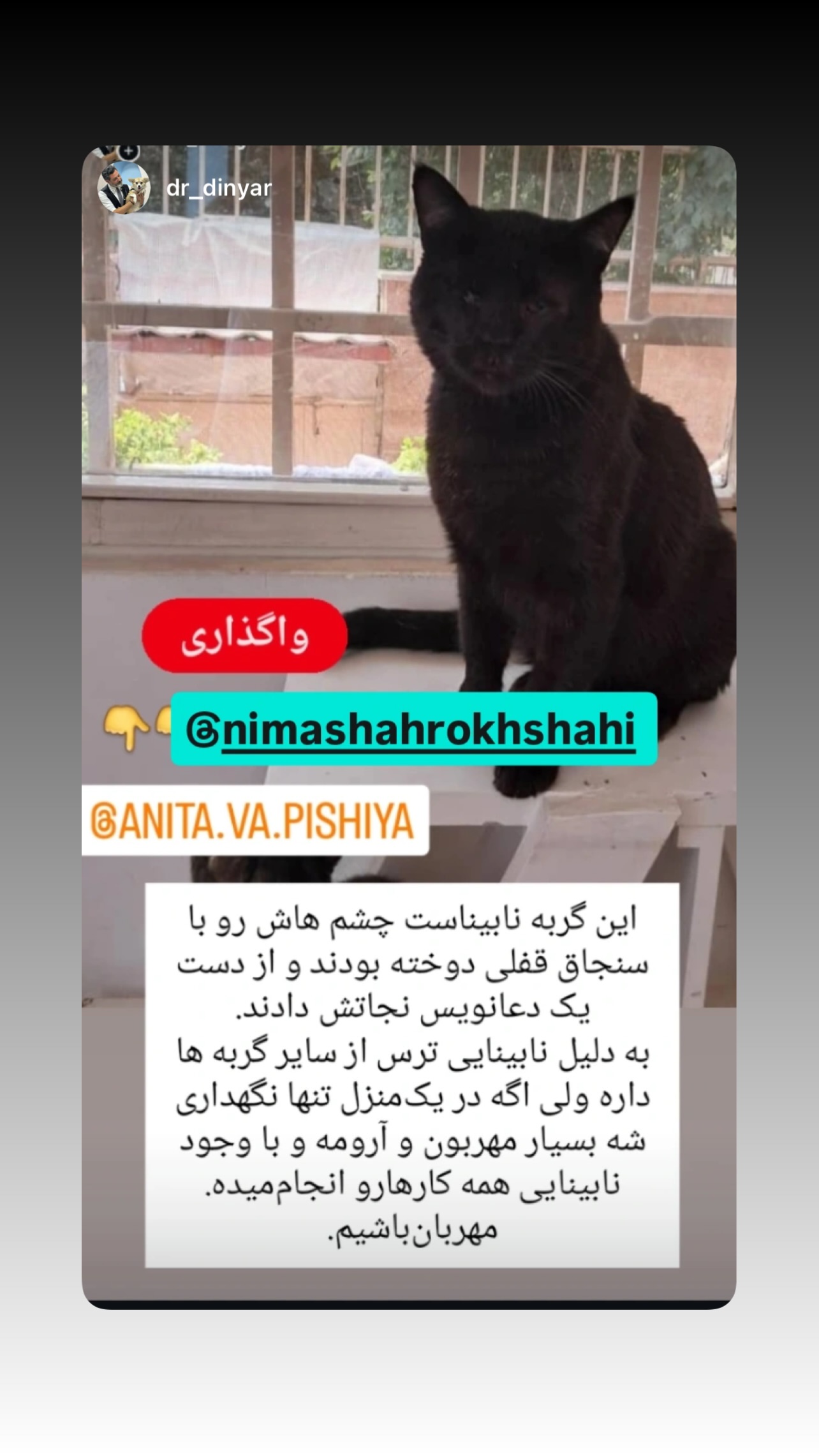  جدید ترین استوری اینستاگرام نیما شاهرخ شاهی