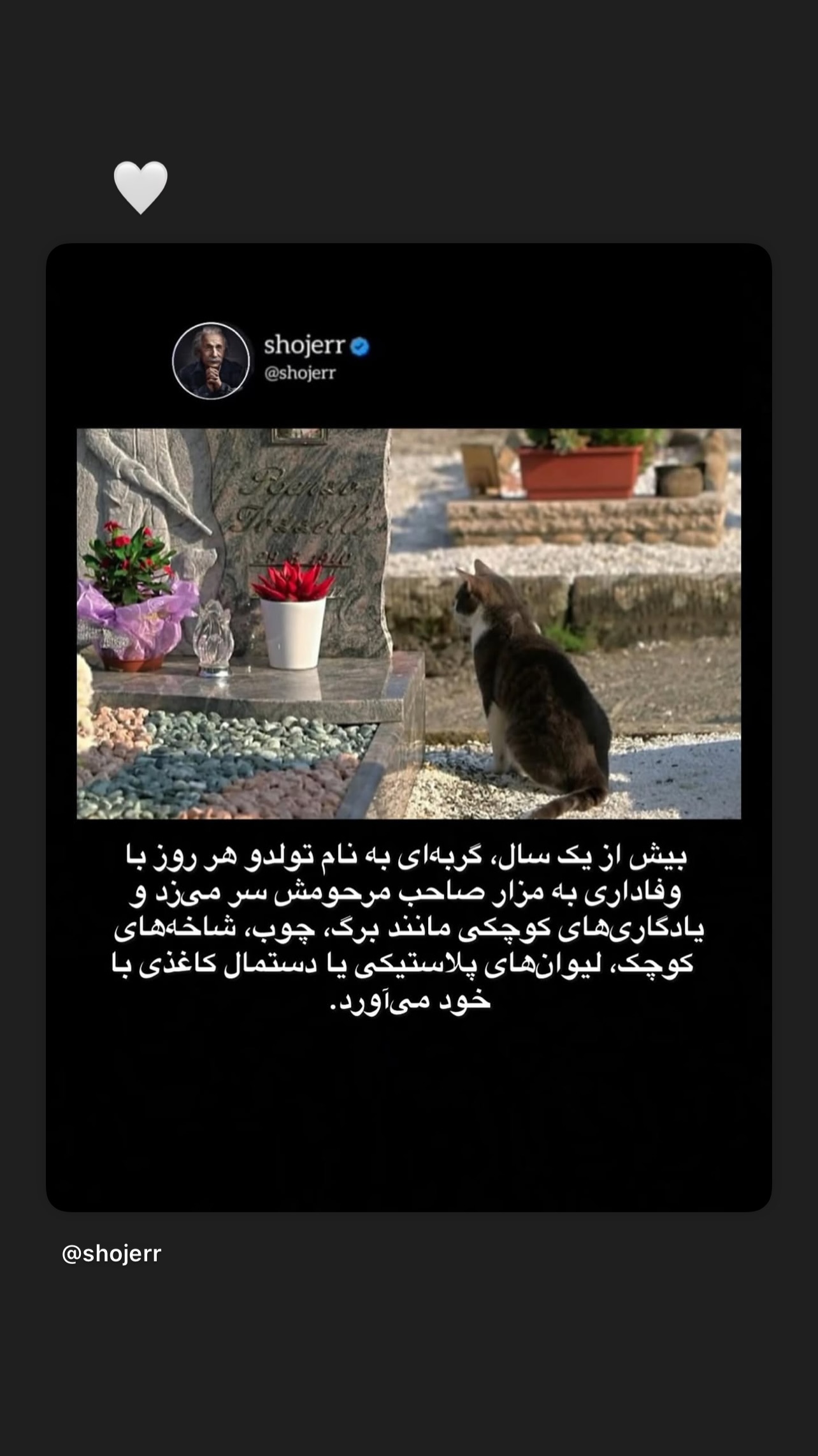  جدید ترین استوری اینستاگرام نیما شاهرخ شاهی