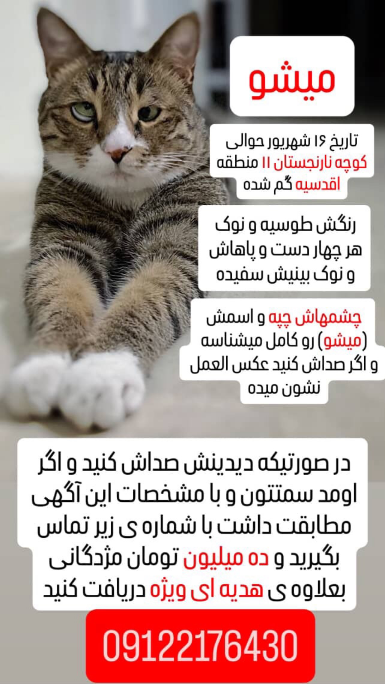  جدید ترین استوری اینستاگرام نیما شاهرخ شاهی