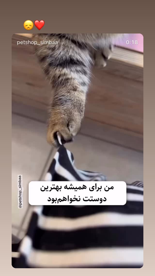  جدید ترین استوری اینستاگرام نیما شاهرخ شاهی