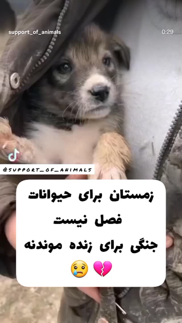  جدید ترین استوری اینستاگرام نیما شاهرخ شاهی