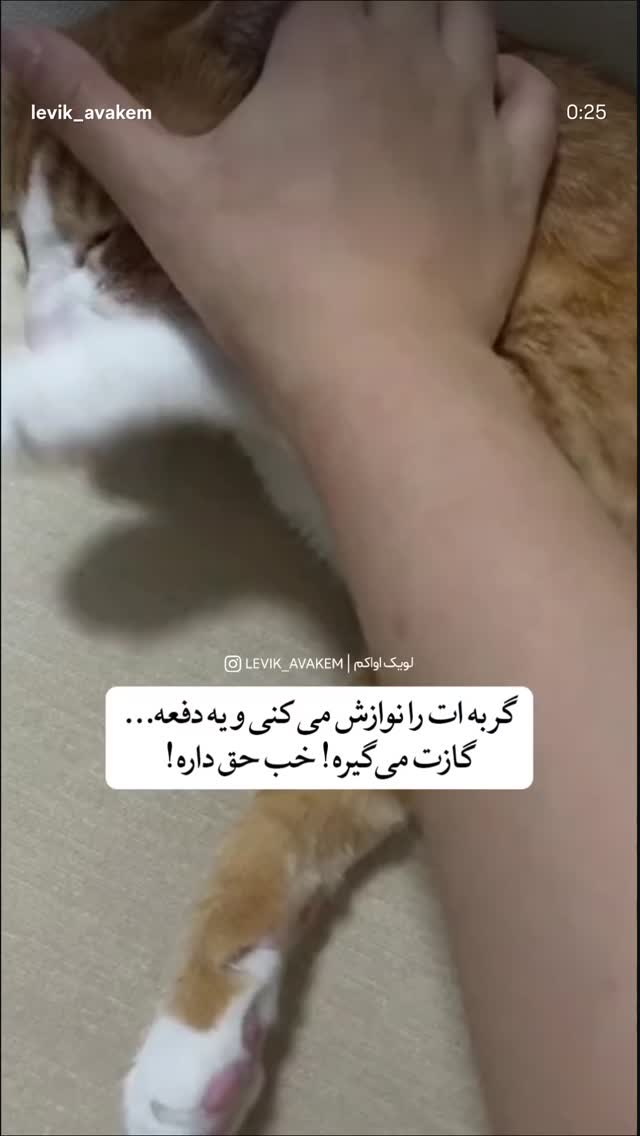  جدید ترین استوری اینستاگرام نیما شاهرخ شاهی
